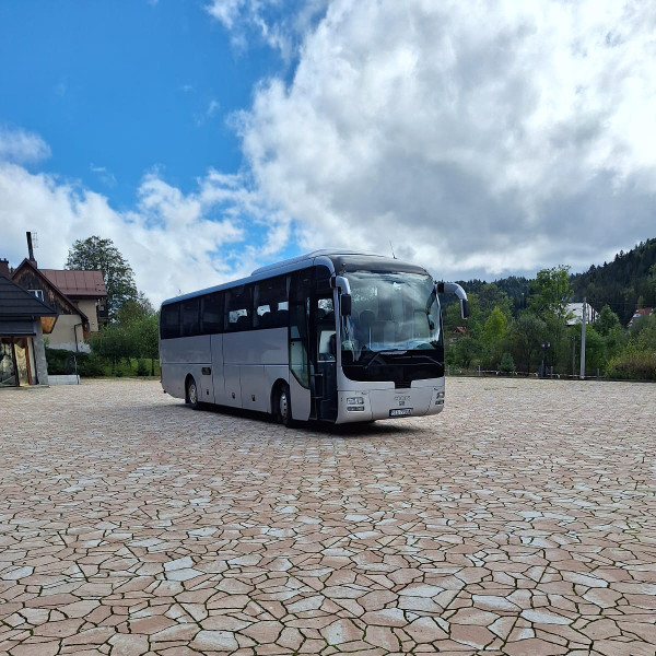 Flota Robitrans
